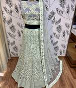 Green Embroidered Net Semi Stitched Lehenga