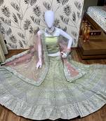Light-Green Embroidered Net Semi Stitched Lehenga