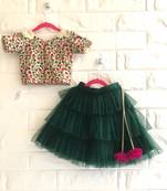 Multicolor Resham Embroidered Top With Frill Skirt