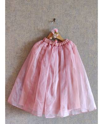 Embroidered Crop Top With Skirt 2