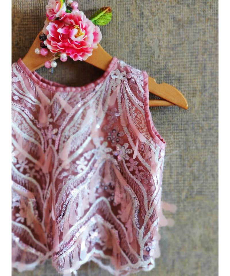 Embroidered Crop Top With Skirt