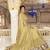 Cream embroidered silk saree with blouse
