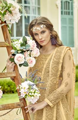Cream embroidered chiffon saree with blouse 2