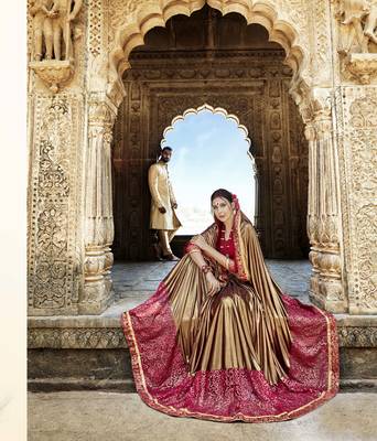 Multicolor embroidered crepe saree with blouse 2