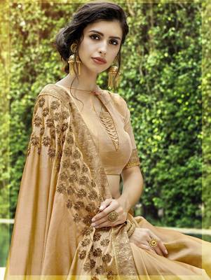 Gold embroidered chiffon saree with blouse 2