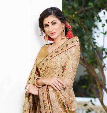 Beige embroidered georgette saree with blouse 2