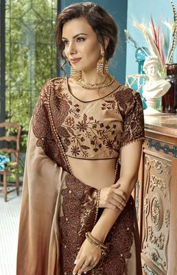 Brown embroidered cotton saree with blouse 2