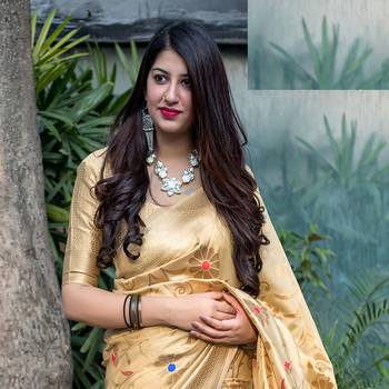Beige woven banarasi silk saree with blouse 2