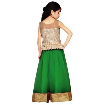 Green Plain Net Stitched Lehenga 2