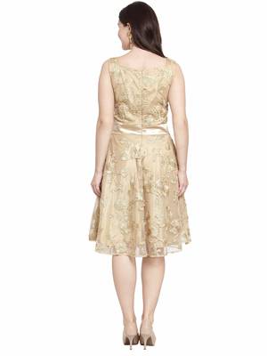 Beige plain net short-dresses 3