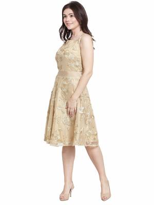 Beige plain net short-dresses 4