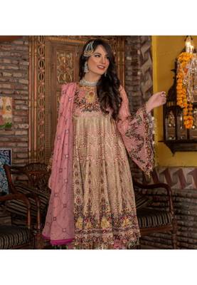 Beige embroidered chiffon salwar 2