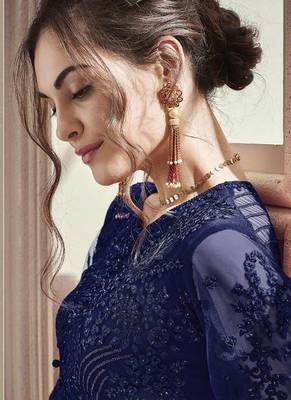 Blue Embroidered Net Salwar 2