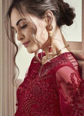 Pink Embroidered Net Salwar 2