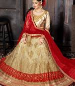 Beige Embroidered Net Semi Stitched Lehenga With Dupatta