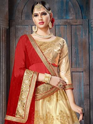 Beige Embroidered Net Semi Stitched Lehenga With Dupatta 2