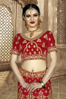Heavy Embroidered Work Unstitched Lehenga Choli With Blouse 2