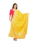 multicolor Phulkari Bagh Dupatta