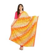 multicolor Phulkari Bagh Dupatta