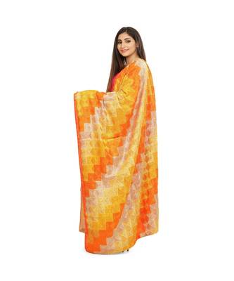 multicolor Phulkari Bagh Dupatta 2