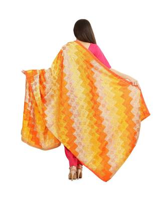 multicolor Phulkari Bagh Dupatta 3