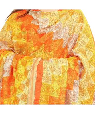 multicolor Phulkari Bagh Dupatta 4