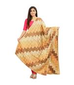 multicolor Phulkari Bagh Dupatta