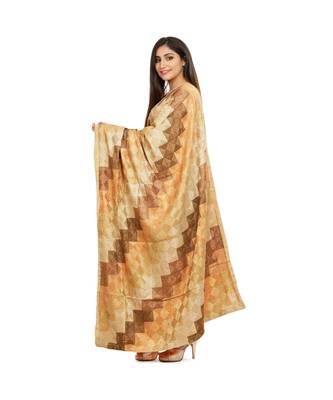 multicolor Phulkari Bagh Dupatta 2
