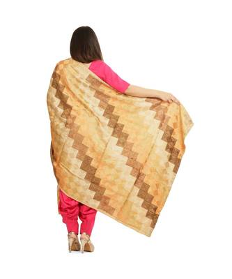 multicolor Phulkari Bagh Dupatta 3