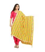 multicolor Phulkari Bagh Dupatta