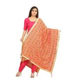 multicolor Phulkari Bagh Dupatta
