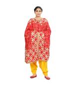 multicolor Phulkari Bagh Dupatta