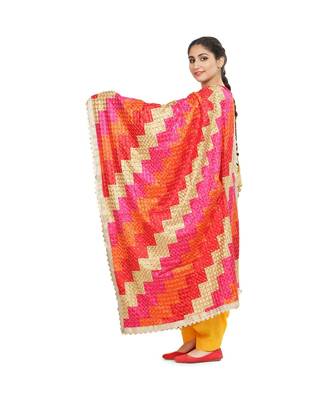 multicolor Phulkari Bagh Dupatta 3