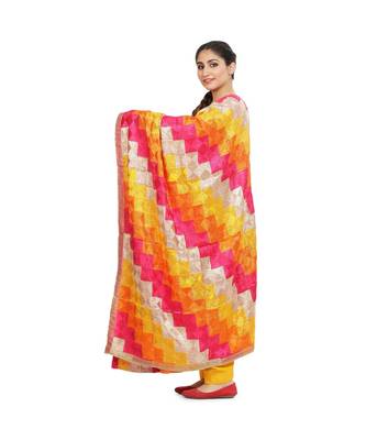 multicolor Phulkari Bagh Dupatta 2