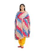 multicolor Phulkari Bagh Dupatta