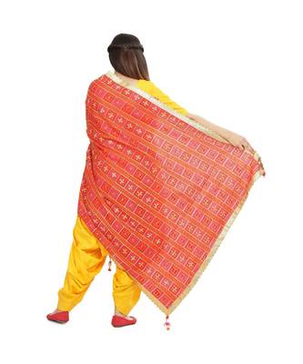 multicolor Phulkari Bagh Dupatta 4
