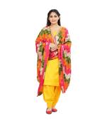 multicolor Phulkari Bagh Dupatta