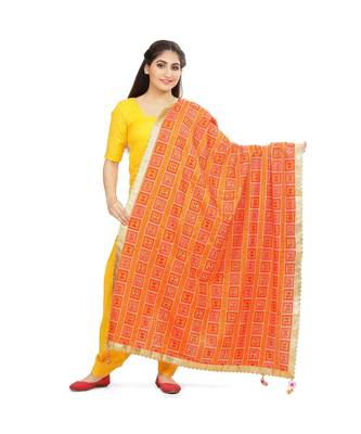 multicolor Phulkari Bagh Dupatta 1