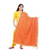 multicolor Phulkari Bagh Dupatta