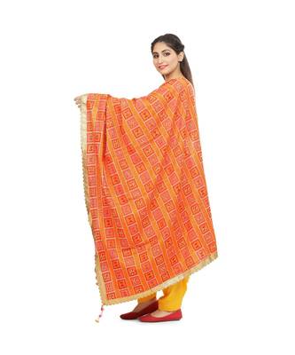 multicolor Phulkari Bagh Dupatta 2