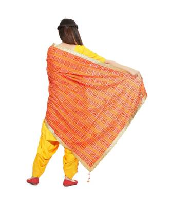 multicolor Phulkari Bagh Dupatta 3