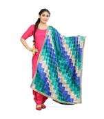 multicolor Phulkari Bagh Dupatta
