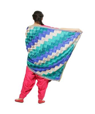 multicolor Phulkari Bagh Dupatta 3
