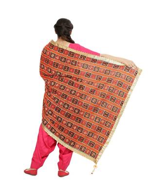 multicolor Phulkari Bagh Dupatta 3