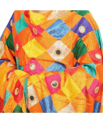 multicolor Phulkari Bagh Dupatta 3