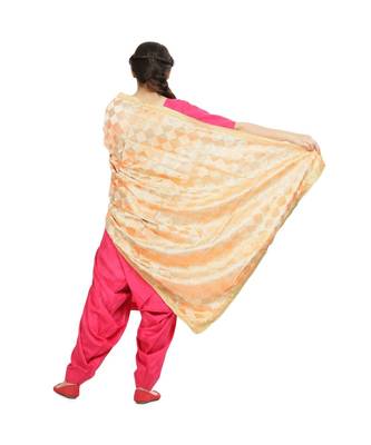 multicolor Phulkari Bagh Dupatta 3