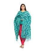 multicolor Georgette Phulkari Dupatta