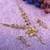 Goldplated Traditional Golden Diamond Necklace Set  For Women Jewellery