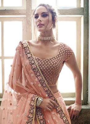 Pink Embroidered Net Semi Stitched Lehenga 3