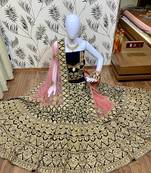 Blue Embroidered Velvet Semi Stitched Lehenga